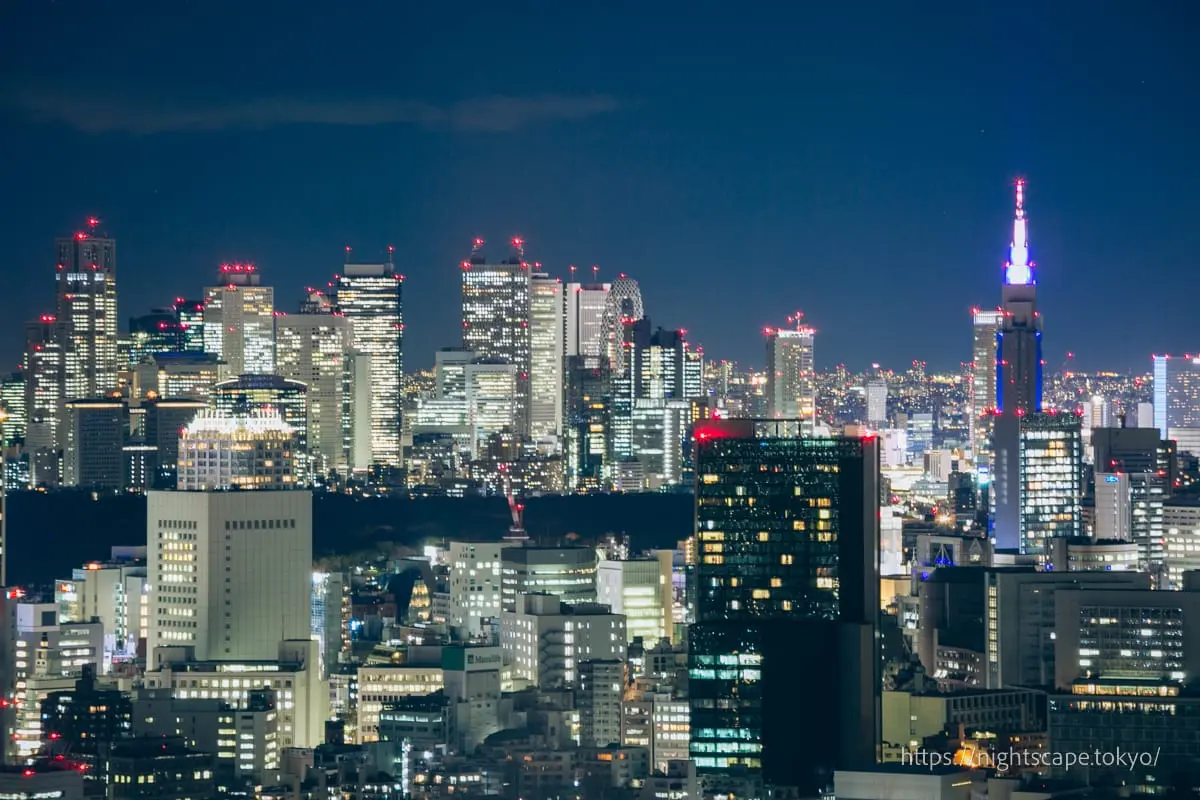 從空中酒廊眺望新宿方面的夜景