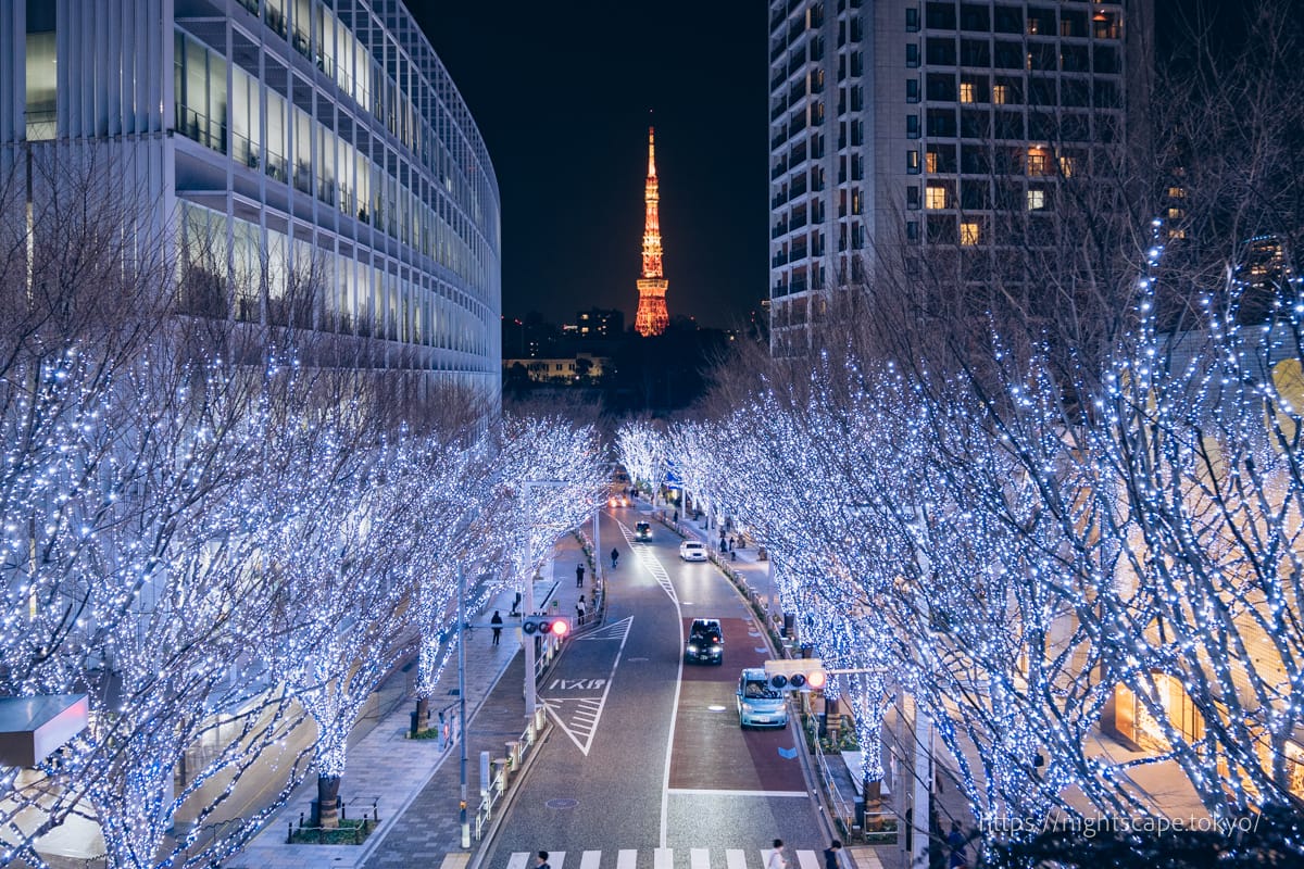 六本木 けやき坂 通り