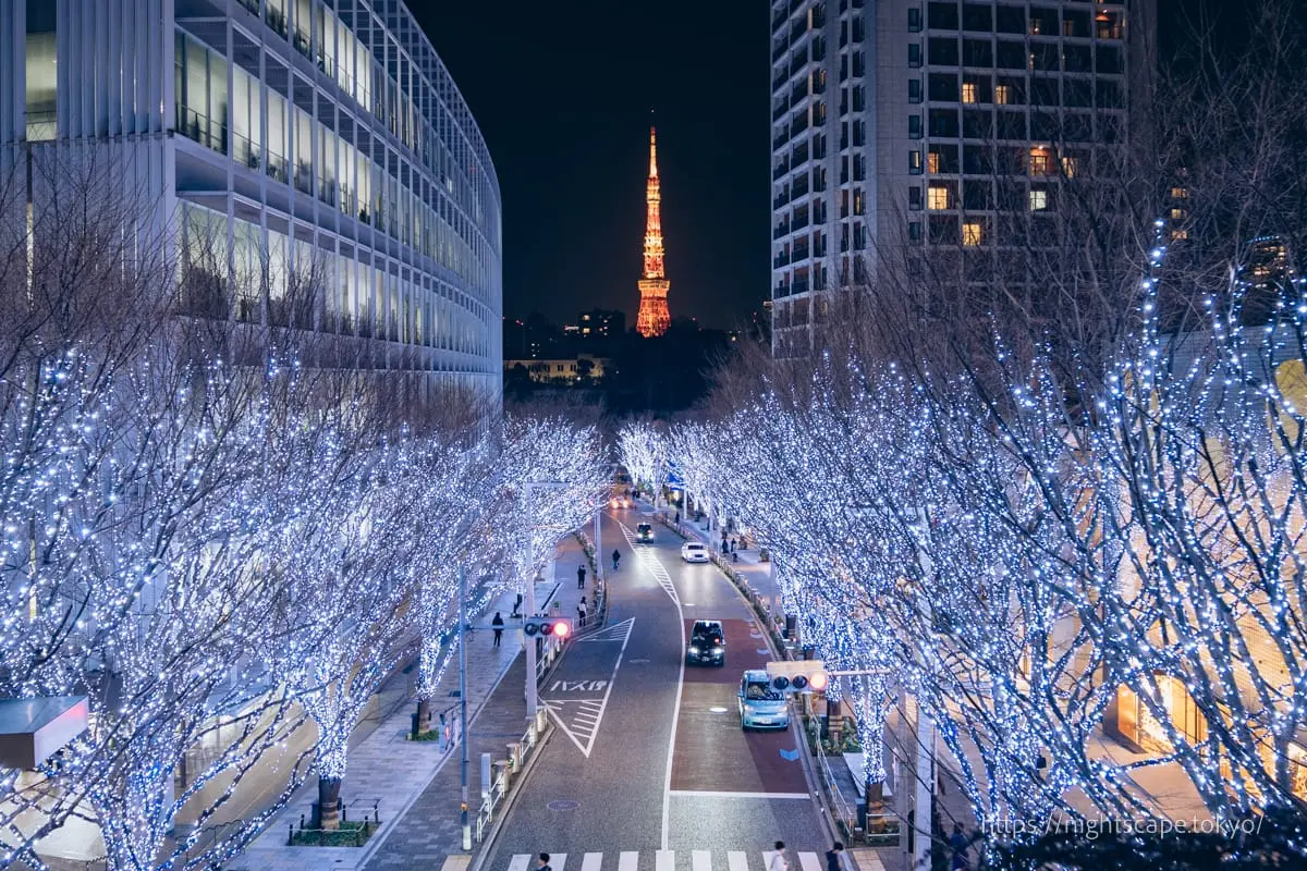 Night view from Roppongi Keyakizaka Street Illumination