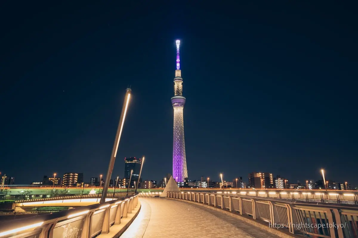 Sakura Bridgeの夜景
