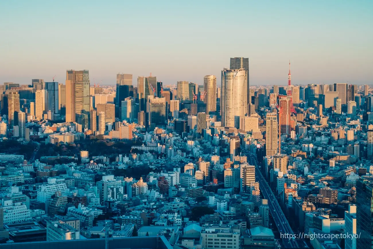 Evening view of Minato ward high-rises and Tokyo Tower