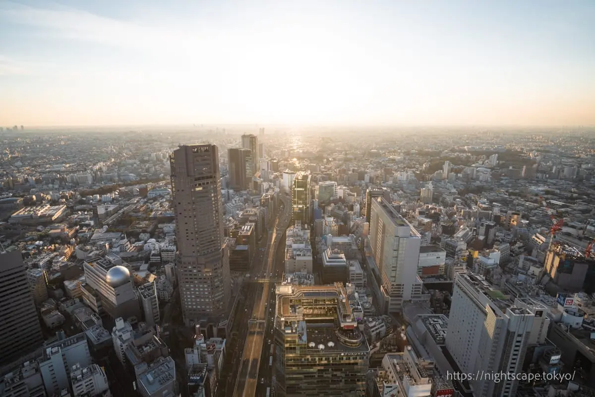 Evening view from Shibuya Scramble Square
