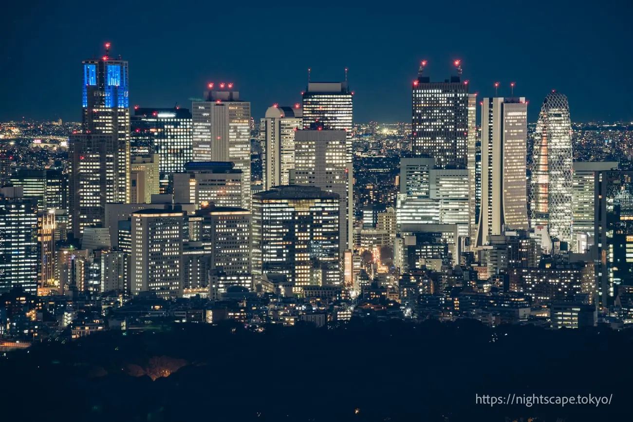 Illuminated Tokyo Metropolitan Government Building, Cocoon Tower and other Shinjuku skyscrapers