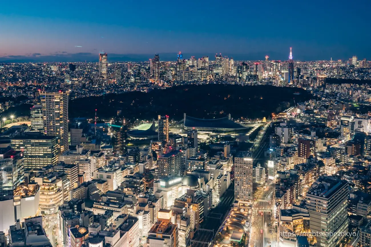 Shinjuku skyscrapers and Shinjuku Gyoen night view