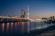 Tokyo Skytree at twilight