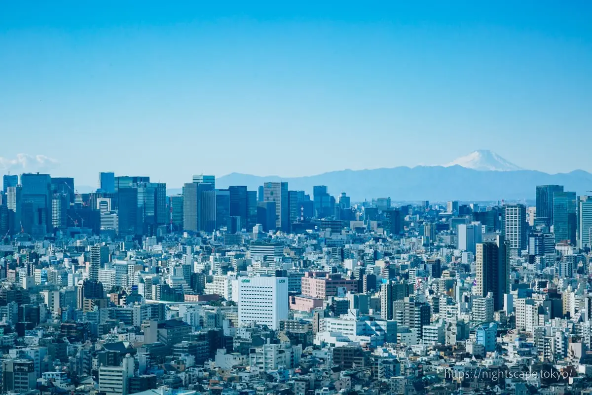 Mount Fuji viewed from Skytree East Tower