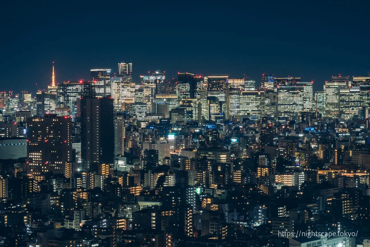 Tokyo Tower and Minato Ward cityscape