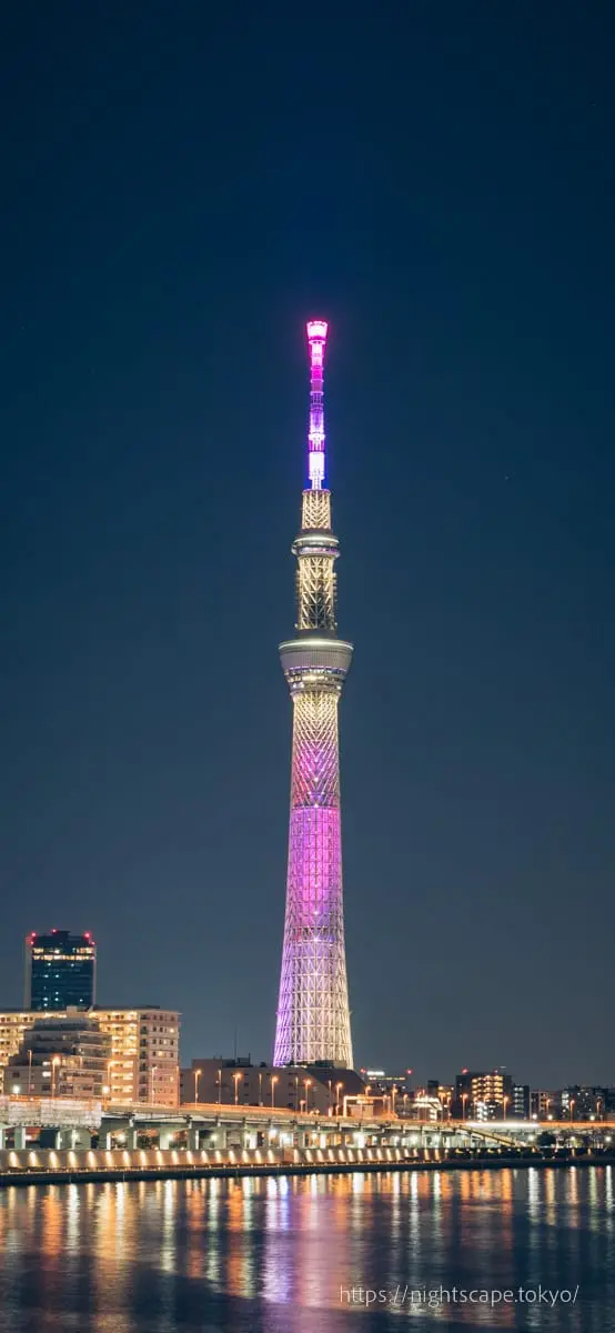 燈光璀璨的東京晴空塔