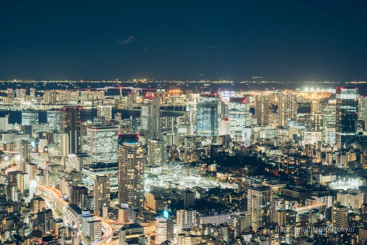 東京門大橋與東京灣夜景（南側）