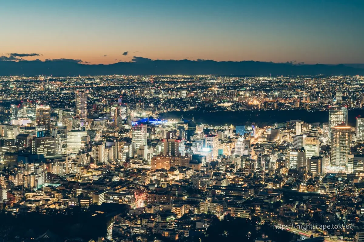 新宿御苑與新宿高樓群夜景（北）