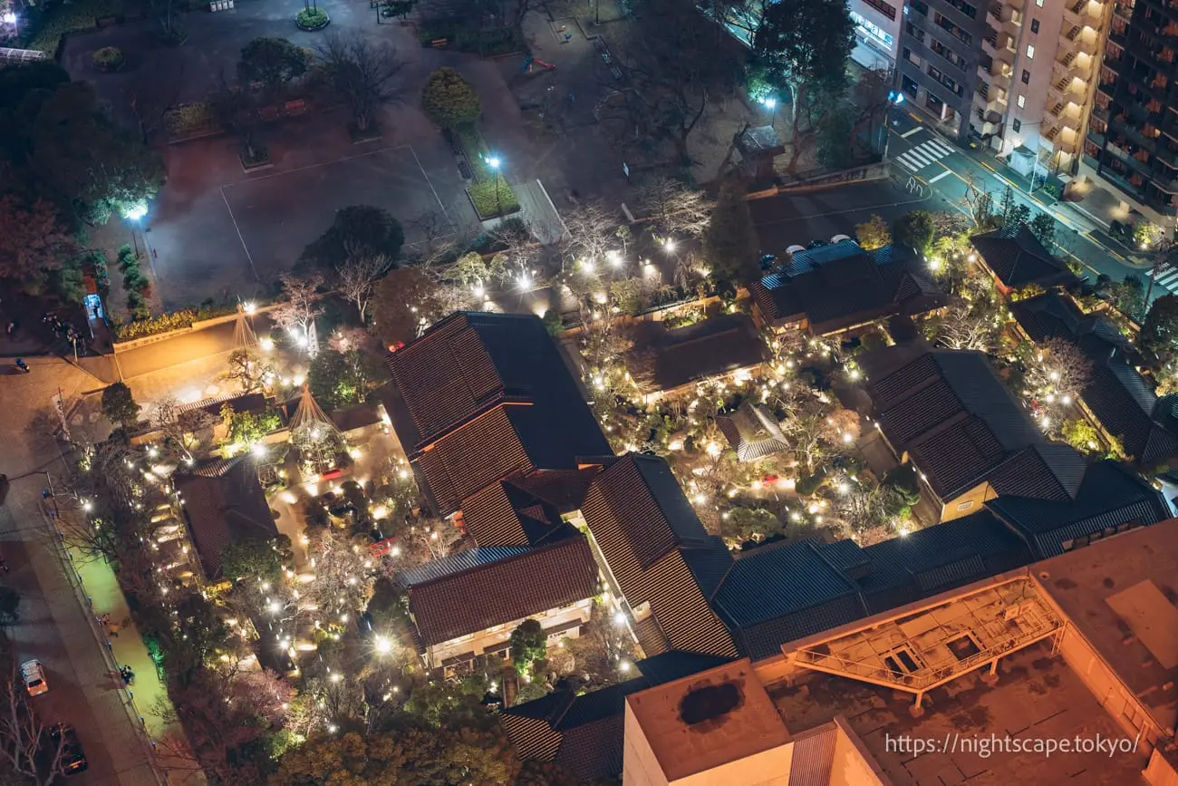 Night view of Shiba Park Area 19 (Momijidani area)