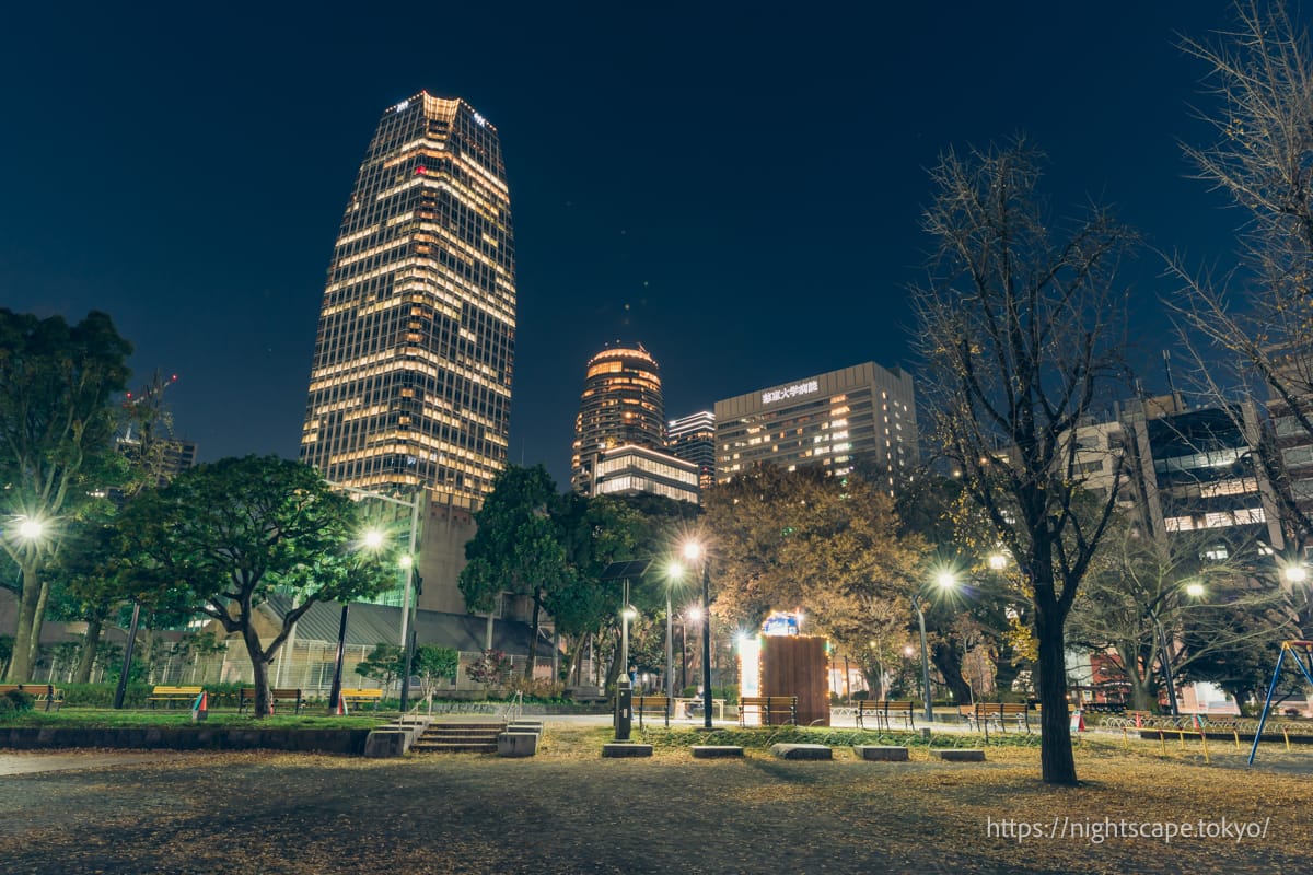 芝 公園 夜景