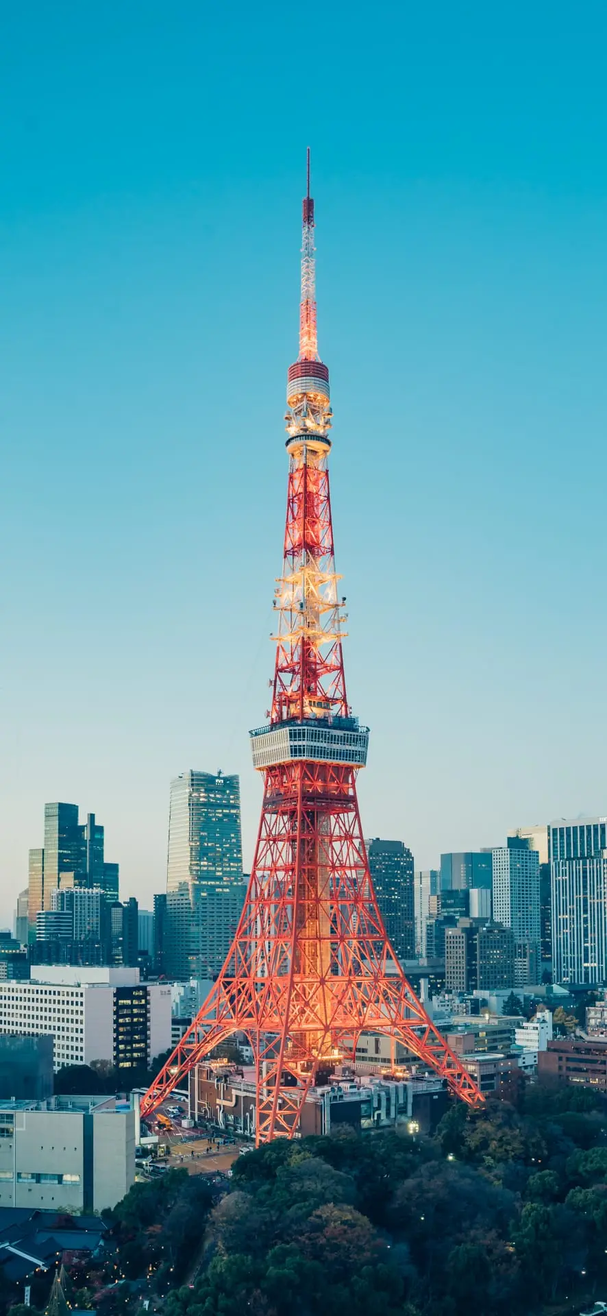 燈光璀璨的東京鐵塔