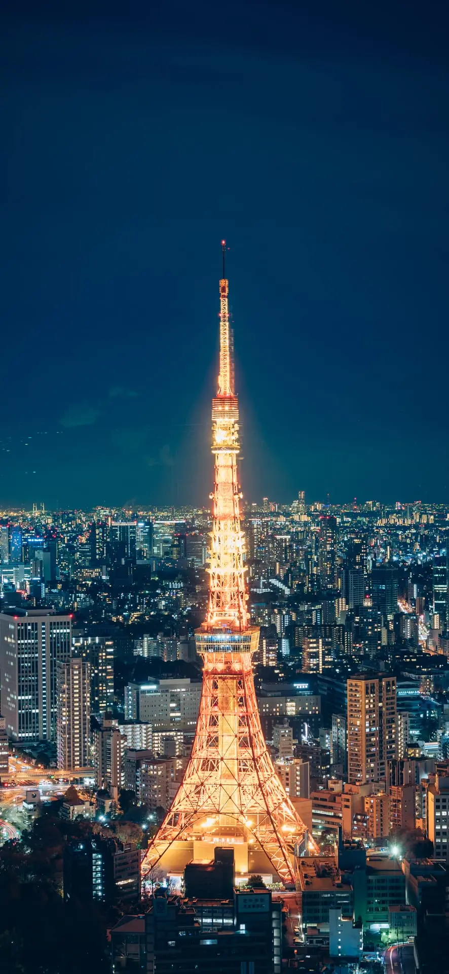 燈光璀璨的東京鐵塔