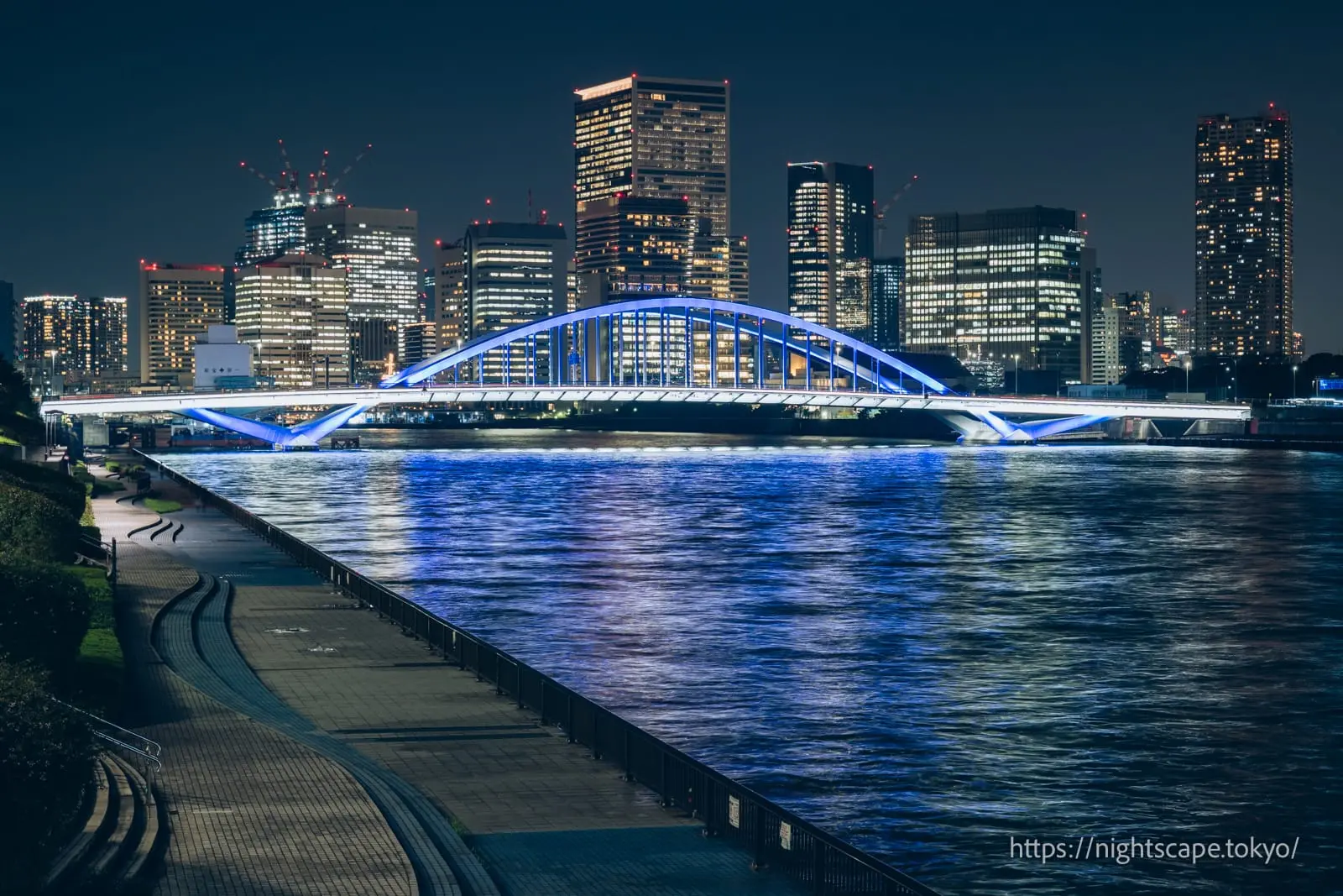 Night view from Kachidoki Bridge (west side)