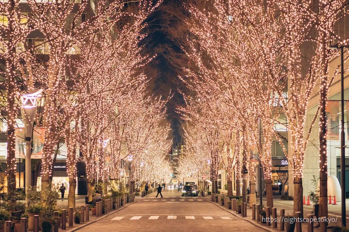 Night view from Marunouchi Illumination