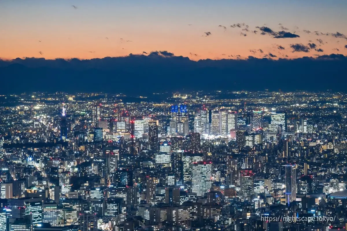 Shinjuku skyscrapers (Tokyo Metropolitan Government Building, Cocoon Tower, etc.)
