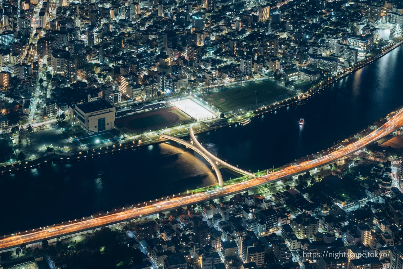 Illuminated Sakura Bridge