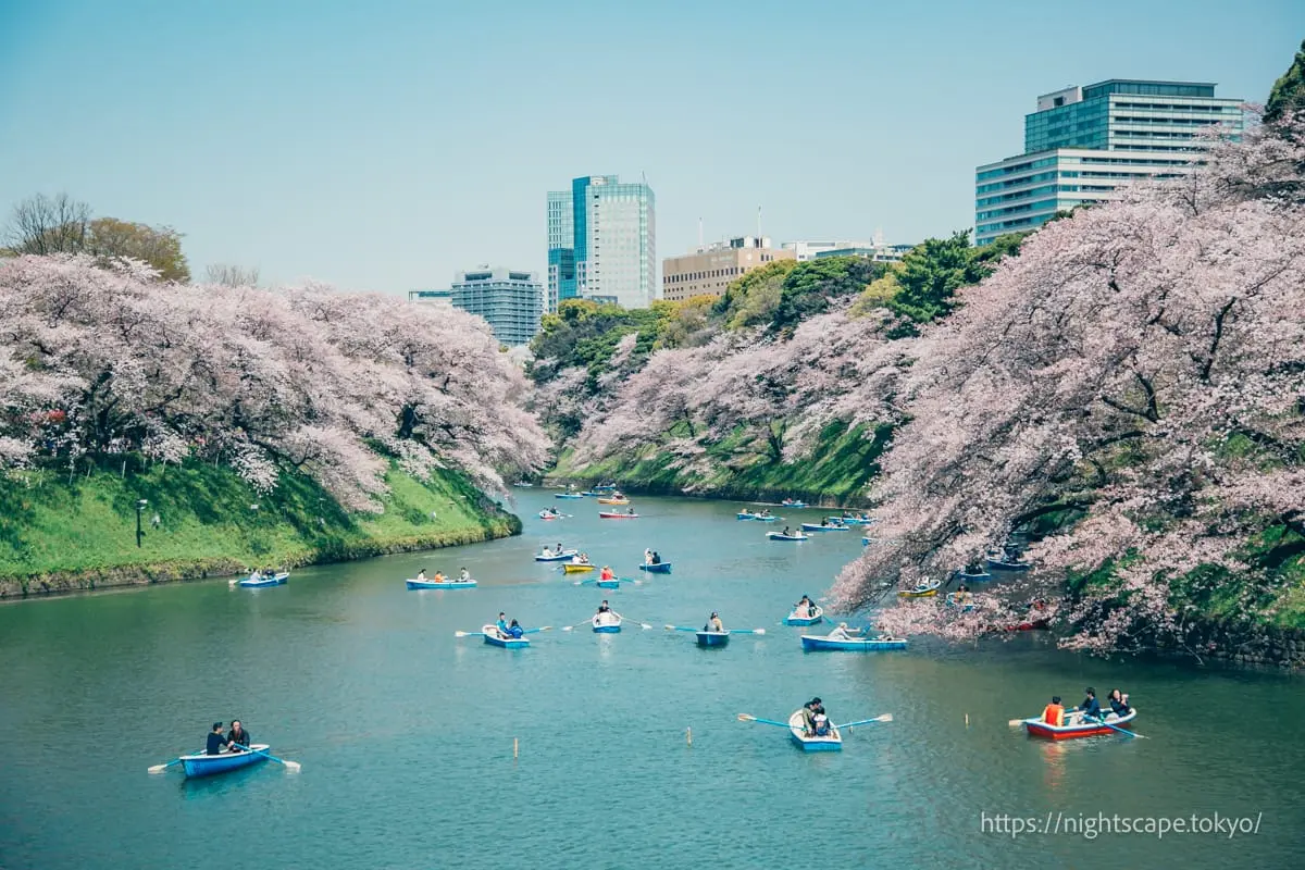 View from near Chidorigafuchi Boat Rental
