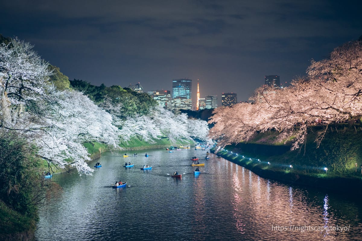 千鳥ヶ淵緑道 千代田のさくらまつり 2025の行き方・営業時間・夜景