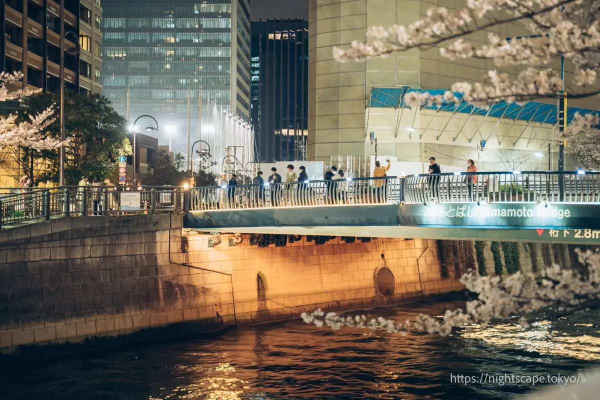 目黑川與山本橋