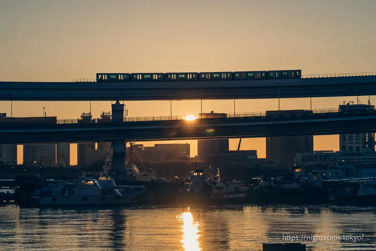 朝日とゆりかもめ線を走る電車