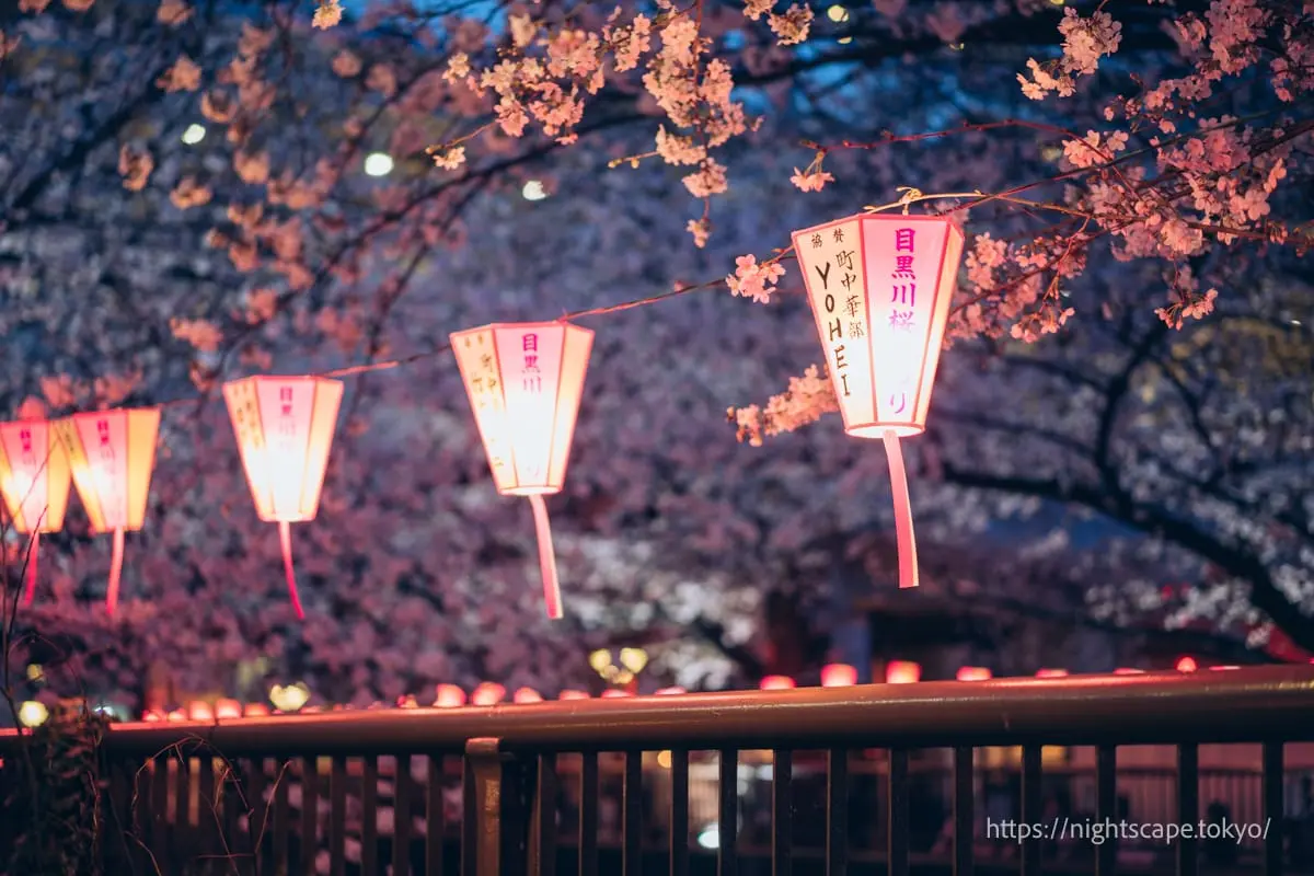 Paper lanterns at Nakameguro Cherry Blossom Festival