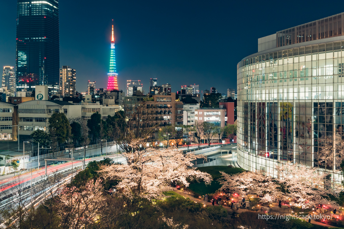 東京都内の夜桜のライトアップが美しい夜景スポット