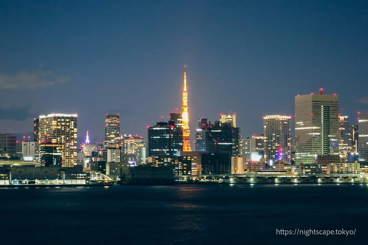 Illuminated Tokyo Tower (North Route)