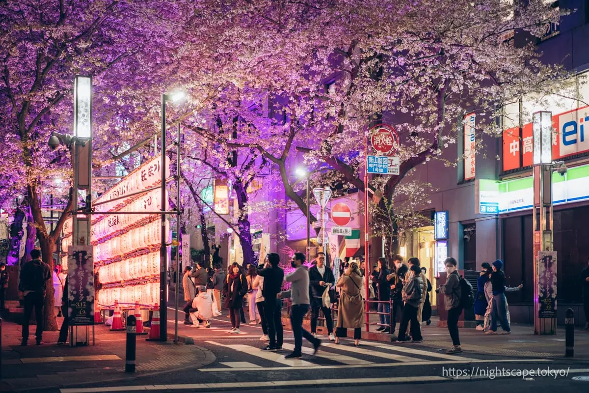 渋谷桜丘のさくら坂の入り口