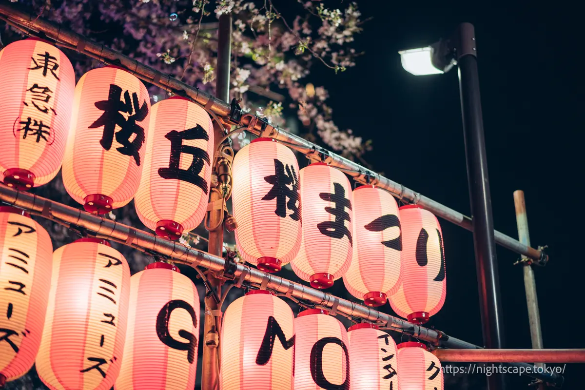 桜まつりの提灯