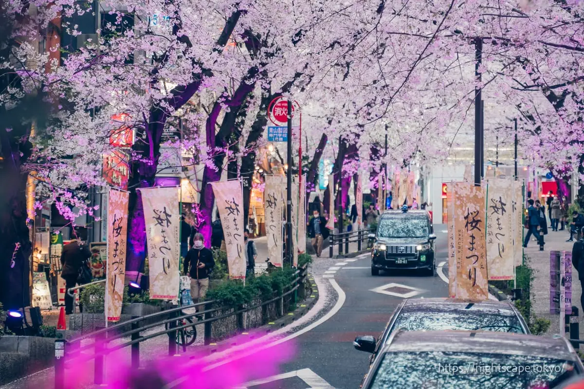 さくら祭りののぼり旗