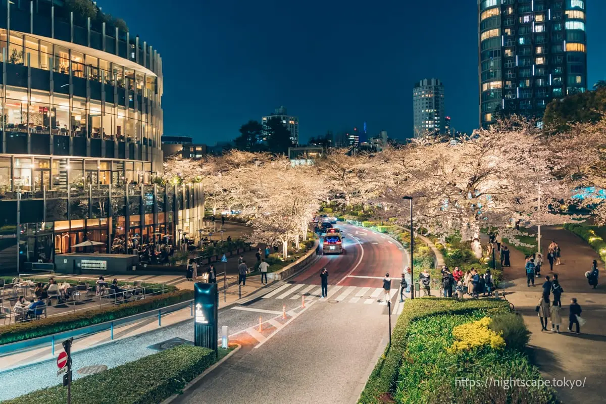 Tokyo Midtown MIDTOWN BLOSSOM 2025の夜景