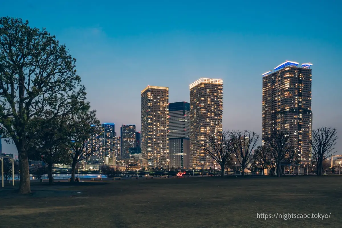 豐洲公園の夜景