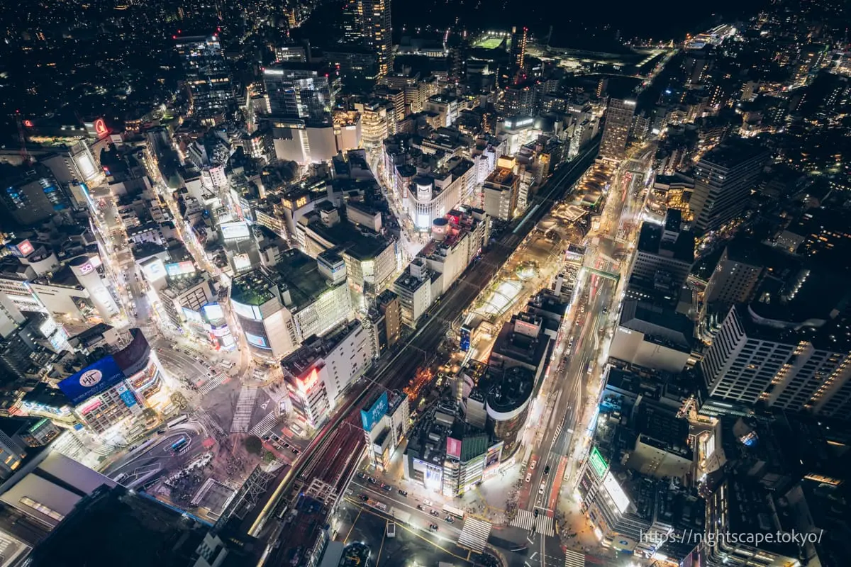 Shibuya Scramble Crossing and Miyashita Park