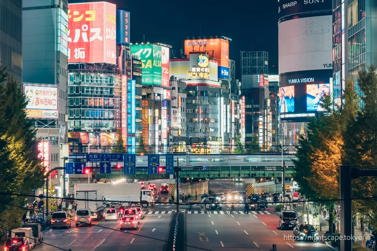 Night view of Kabukicho from Shintoshin Pedestrian Bridge