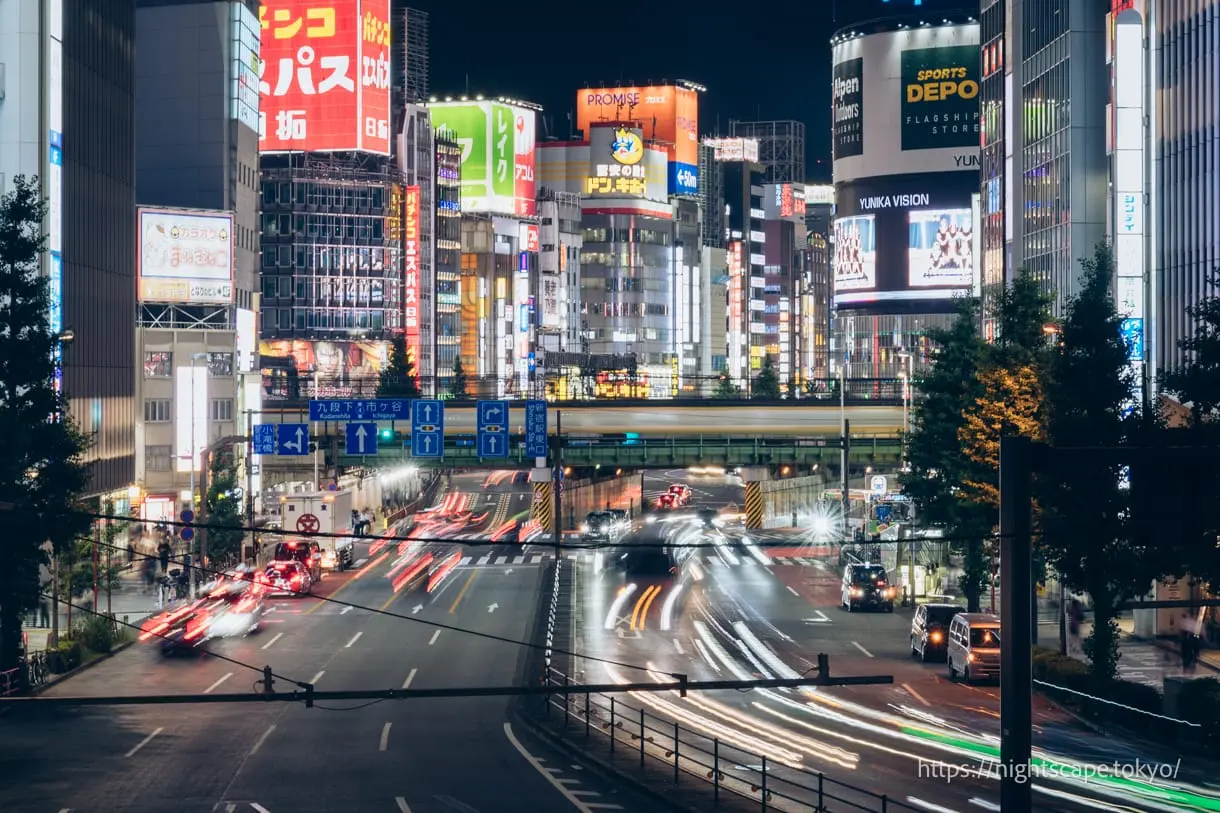Night view of Kabukicho from Shintoshin Pedestrian Bridge
