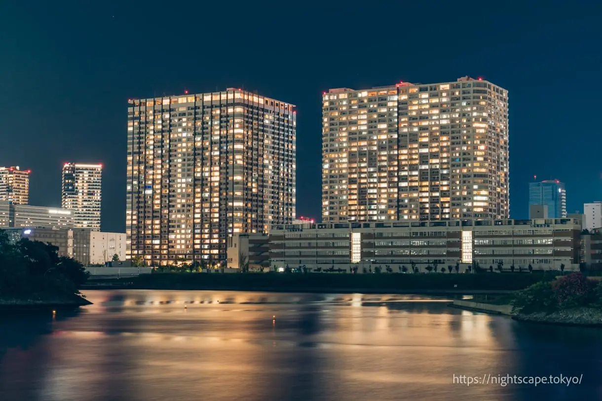 從富士見橋眺望有明方面的夜景