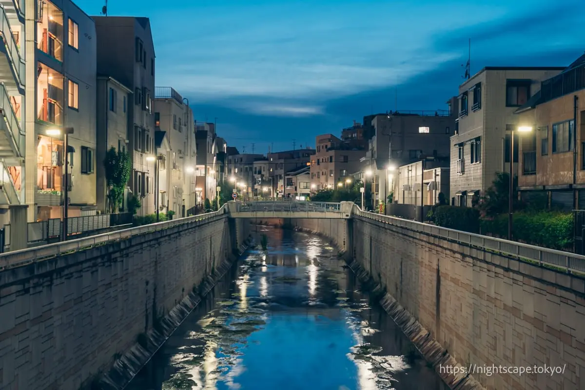從中之橋眺望的夜景（西側）