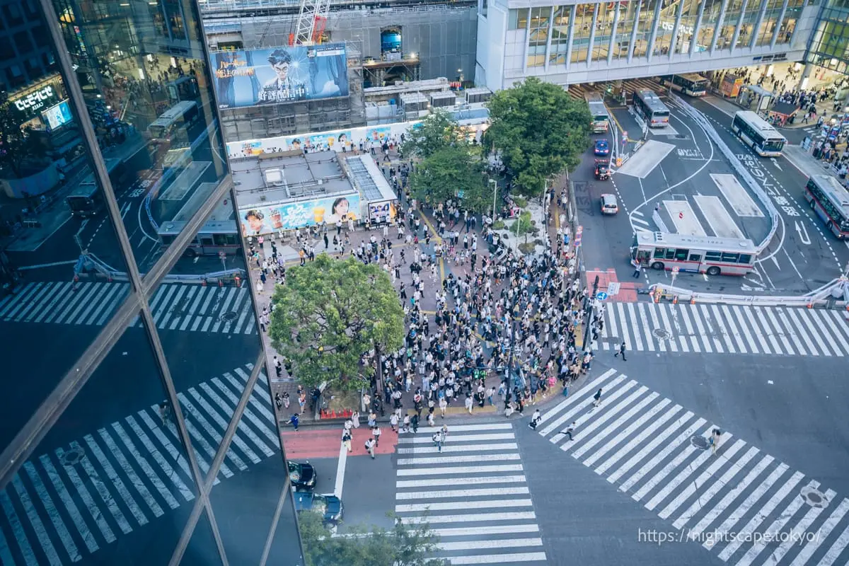 磁鐵by澀谷109 屋頂展望台氛圍中眺望爭相過馬路的十字路口