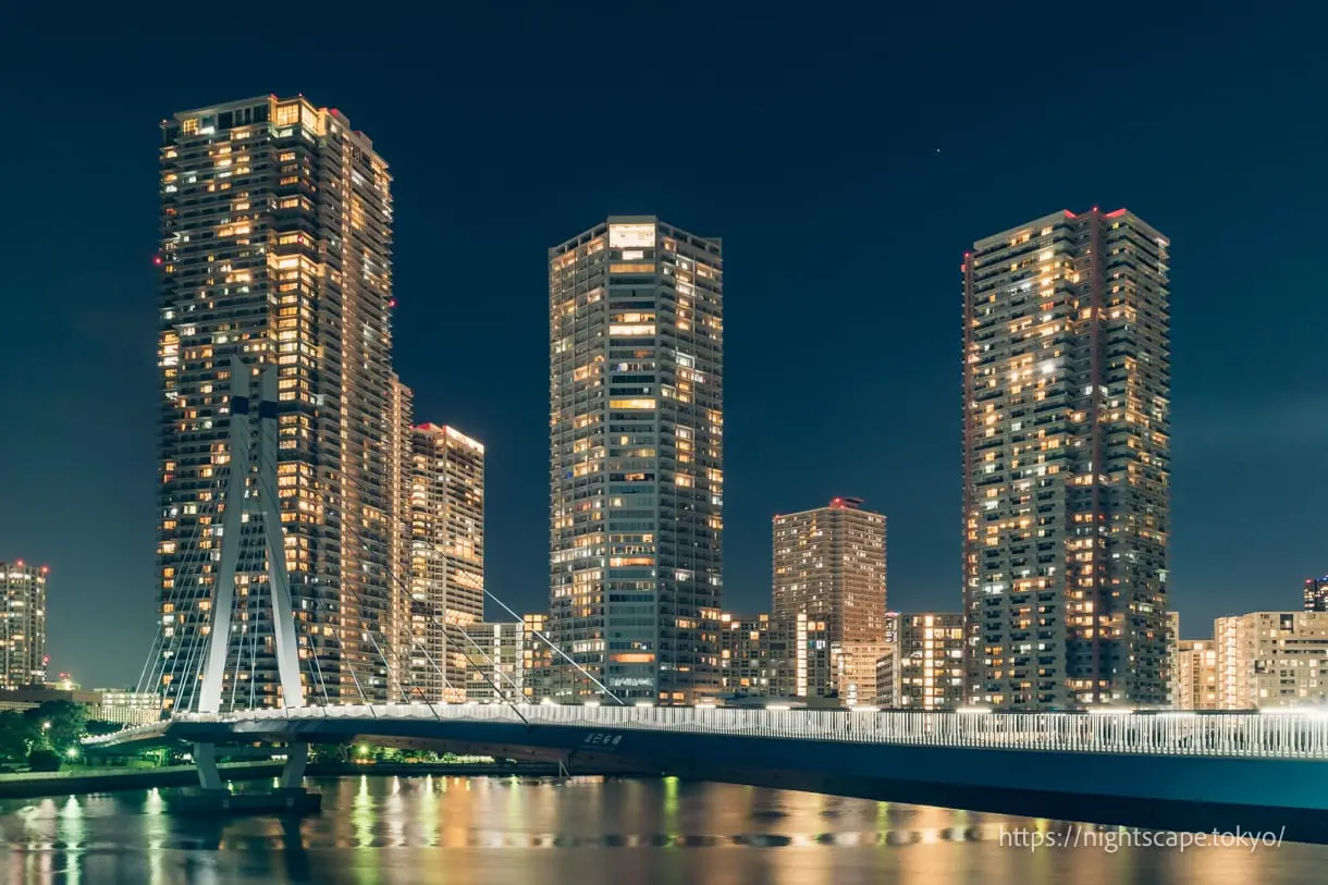 Tatsumi Sakura Bridge & Shinonome Waterfront Parkの夜景
