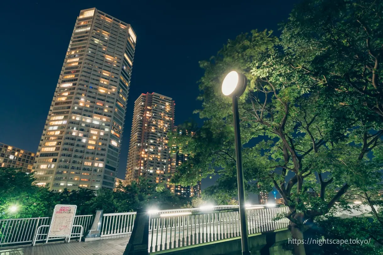 東雲水辺公園から眺める辰巳桜橋