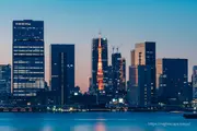 Tokyo Tower and Minato area cityscape