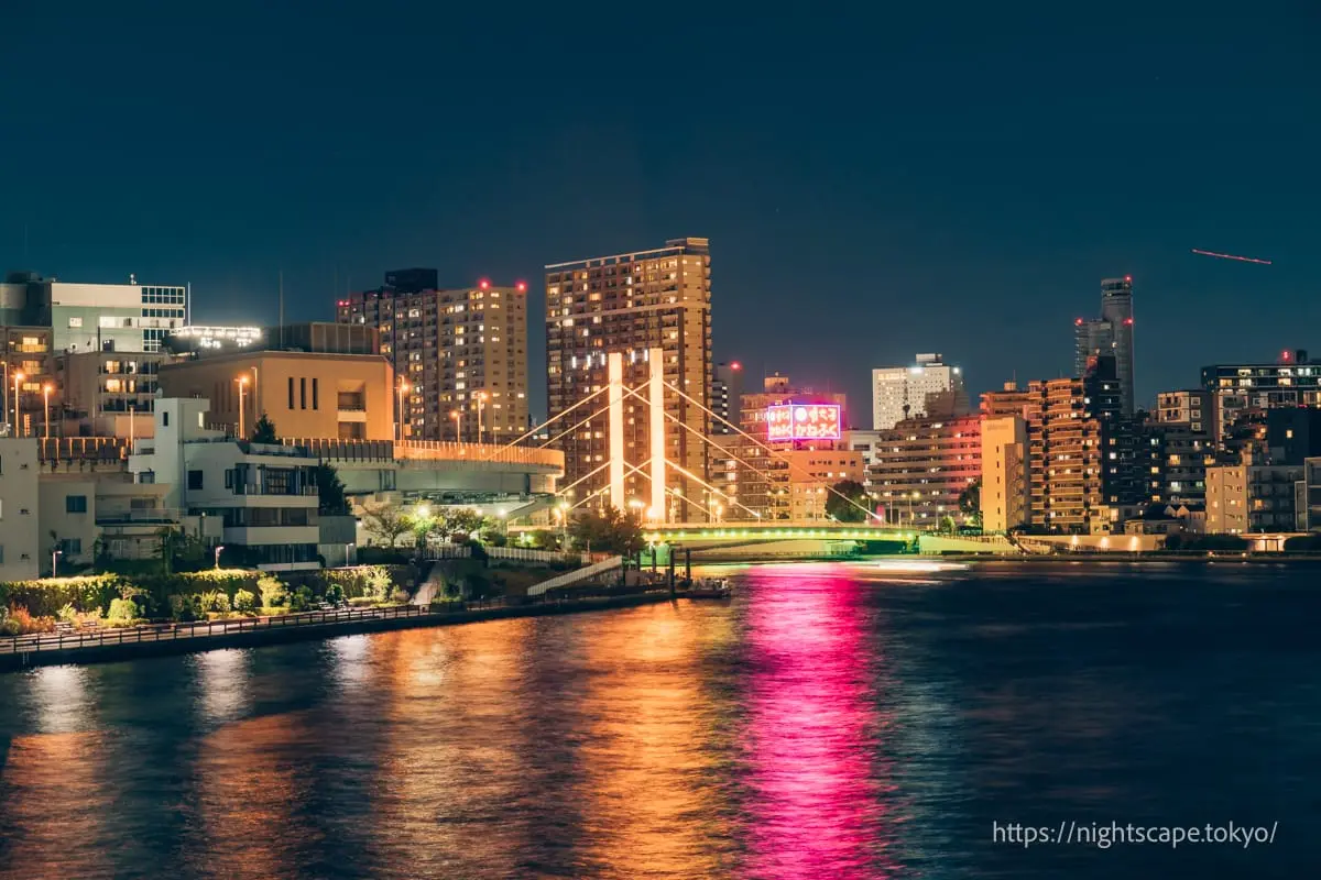 Shin-Ohashi Bridge viewed from Kiyosu Bridge