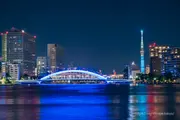 View of Eitai Bridge and Tokyo Skytree from Ishikawajima Park