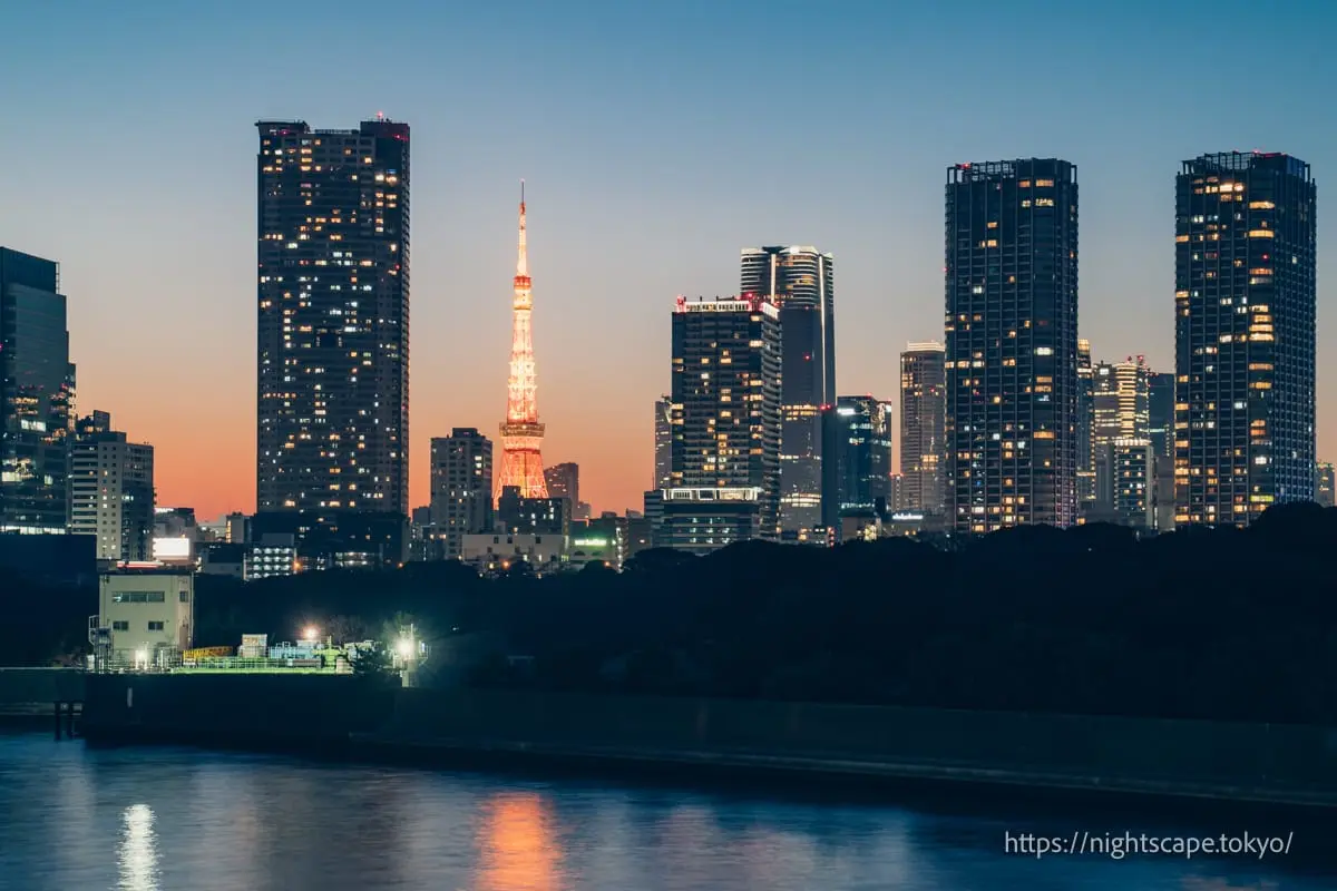东京塔和港区夜景