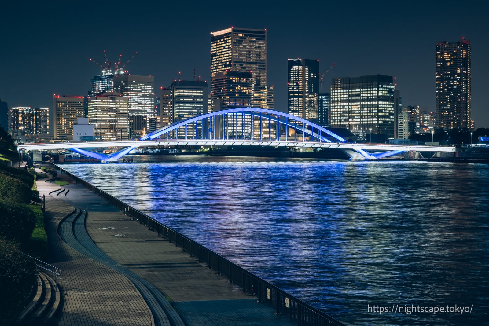 ライトアップされる築地大橋