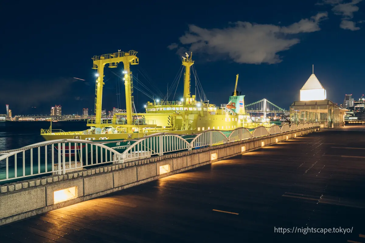 Atmosphere of Takeshiba Passenger Ship Terminal