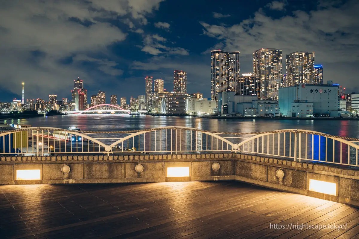 View of Harumi area tower apartments from Takeshiba Passenger Ship Terminal