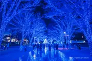 藍色洞窟 澀谷 2025夜景 圖片1